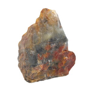 `󂨔C@AJ@^BY@̃ER@1@WI@΁@֓