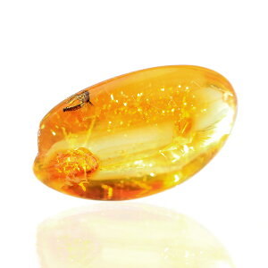 `󂨔C@ogCY@RnN@M@1@nV@Ao[@΁@֓