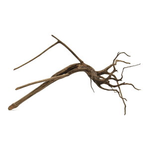 `󂨔C@ύݍς݁@Xp[NEbh@MTCYi20`30cmj@1{@CAEgfށ@}󗬖؁@֓