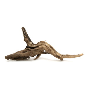 `󂨔C@ύݍς݁@fBA[z[Ebh@LTCYi35`45cmj@1{@CAEgfށ@󗬖؁@֓