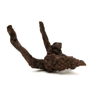 `󂨔C@ύݍς݁@htgEbh@STCYi15`25cmj@1{@CAEgfށ@󗬖؁@֓