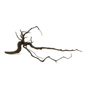 `󂨔C@ύݍς݁@Xp[NEbh@XLTCYi40`50cm@j@1{@CAEgfށ@}󗬖؁@֓