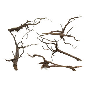 `󂨔C@ύݍς݁@Xp[NEbh@LTCYi30`40cmj@5{@CAEgfށ@}󗬖؁@֓