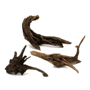 `󂨔C@ύݍς݁@fBA[z[Ebh@MTCYi25`35cmj@3{@CAEgfށ@󗬖؁@֓