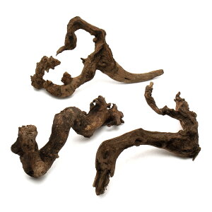 `󂨔C@ύݍς݁@TSEbh@MTCYi25`35cmj@3{@CAEgfށ@󗬖؁@֓