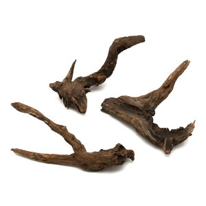 `󂨔C@ύݍς݁@htgEbh@STCYi15`25cmj@3{@CAEgfށ@󗬖؁@֓