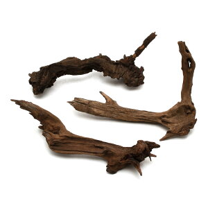 `󂨔C@ύݍς݁@htgEbh@MTCYi25`35cmj@3{@CAEgfށ@󗬖؁@֓