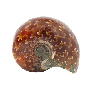 `󂨔C@}_KXJY@DAiCg@S@1@I@΁@֓