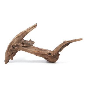 `󂨔C@ύݍς݁@㎿؁@`݂с`@MTCYi25`35cmj@1{@ANAE@CAEgfށ@؁@֓