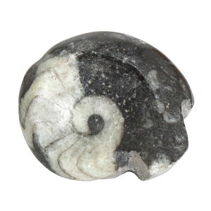 `󂨔C@bRY@X|hZX@AiCg@MTCY@1@f{I@΁@֓