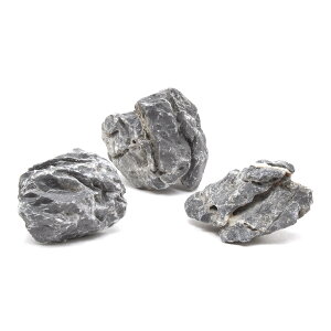 `󂨔C@΁@SSTCYi5`8cmj@3@ANAE@CAEgfށ@֓