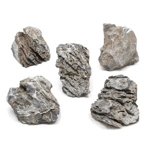 `󂨔C@΁@SSTCYi5`8cmj@5@ANAE@CAEgfށ@֓