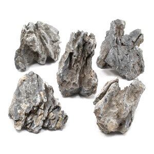 `󂨔C@΁@STCYi8`13cmj@5@ANAE@CAEgfށ@֓