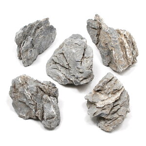 `󂨔C@΁@MTCYi13`18cmj@5@ANAE@CAEgfށ@֓