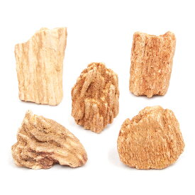 形状お任せ　木紋岩　SSサイズ（約5〜8cm）　5個　アクアリウム　レイアウト素材　関東当日便