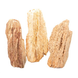 `󂨔C@ؖ@LTCYi18`23cmj@3@ANAE@CAEgfށ@֓