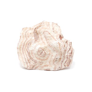 `󂨔C@΁@STCYi8`13cmj@1@ANAE@CAEgfށ@֓