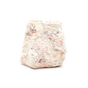 形状お任せ 朱紋石 Lサイズ(約18〜23cm) 1個 アクアリウム レイアウト素材 関東当日便