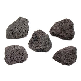 形状お任せ　黒溶岩石　SSサイズ（約5〜8cm）　5個　アクアリウム　レイアウト素材　溶岩石　関東当日便