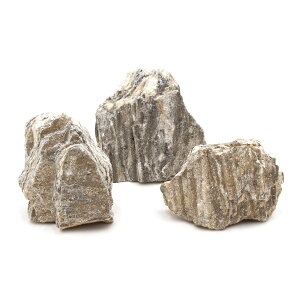 `󂨔C@P΁@SSTCYi5`8cmj@3@ANAE@CAEgfށ@֓