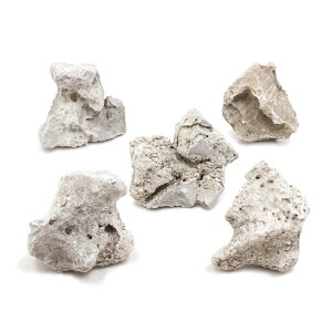 `󂨔C@΁@STCYi8`13cmj@5@ANAE@CAEgfށ@֓