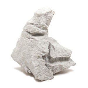 `󂨔C@΁@LTCYi18`23cmj@1@ANAE@CAEgfށ@֓