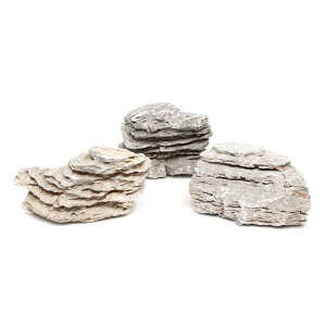 `󂨔C@ϑw΁@MTCYi13`18cmj@3@ANAE@CAEgfށ@֓