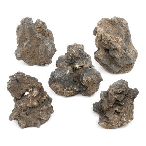 `󂨔C@΁@STCYi8`13cmj@5@ANAE@CAEgfށ@֓