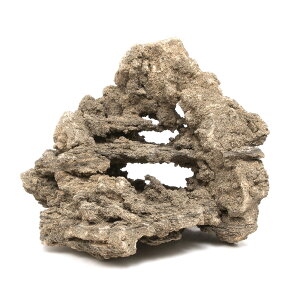 `󂨔C@΁@LTCYi18`23cmj@1@ANAE@CAEgfށ@֓