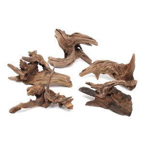 `󂨔C@ύݍς݁@XNC[YEbh@5{@ANAE@CAEgfށ@؁@֓