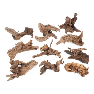 `󂨔C@ύݍς݁@XNC[YEbh@10{@ANAE@CAEgfށ@؁@֓