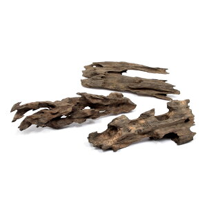 `󂨔C@ύݍς݁@傢@njJEbh@STCYi15`20cmj@3{@֓