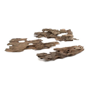 `󂨔C@ύݍς݁@傢@njJEbh@LTCYi25`30cmj@3{@֓