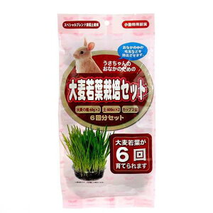 A^@p@唞t͔|Zbg@6񕪁@@@ыʁ@֓