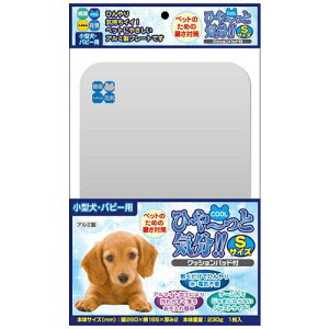 AEgbgi@nCybg@^Eps[pЂ`ƋC@STCY@󂠂@֓