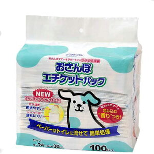 񂿑܁@N[@ۃG`PbgpbN@100@֓