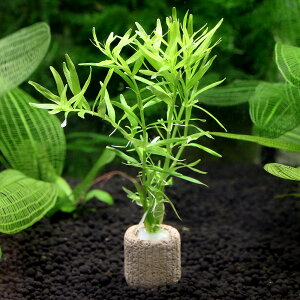 ijCt}`ijO[^itji_ji1j