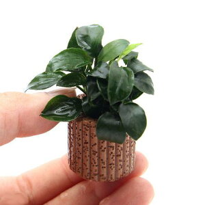 ijAkrAXii@v`@Ct}`ijitji3j