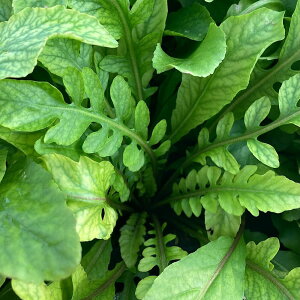 ijEH[^[iX^`Eitji_ji1j