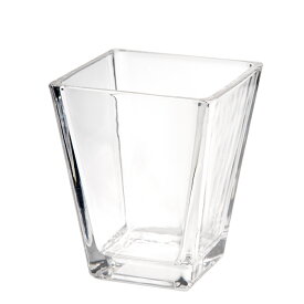 ガラスベース　スクエアグラス　M　エアプランツ　多肉植物　ティランジア　ガラス【HLS_DU】　関東当日便