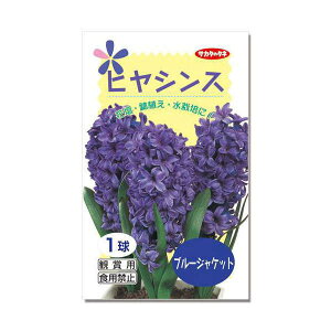 いろいろ ヒヤシンス 球根 値段 誕生 日 ライン 友達