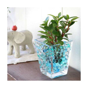 iϗtAj܂IAVXcƃXNGAOXS@u[~bNXZbg@@@v[g