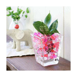 iϗtAj܂IAVXcƃXNGAOXS@bh~bNXZbg@@@v[g