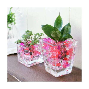 iϗtAj܂IAVXcƃubNOXEXNGAOX2PZbg@bh~bNX@@@v[g