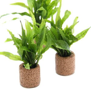 ijCt}`ij~N\E@vevX@i[i1j