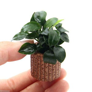 ijAkrAXii@v`@Ct}`ijitji1j