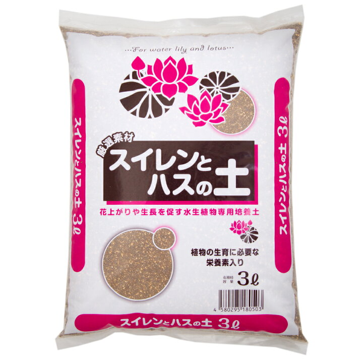オリジナル 花ごころ 観葉植物の土 12l お一人様6点限り Riosmauricio Com オリジナル 花ごころ 観葉植物の土 12l お一人様6点限り Riosmauricio Com
