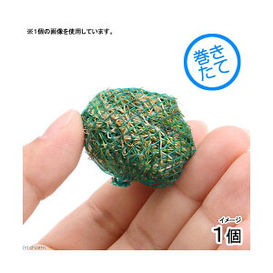 ijā@wA[OX@V[g{[itji_ji1j