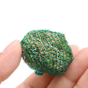 ijā@wA[OX@V[g{[itji_ji5j