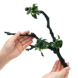 ijAkrAXii@v`@}󗬖؁@MTCYi20cm`jitji1{j